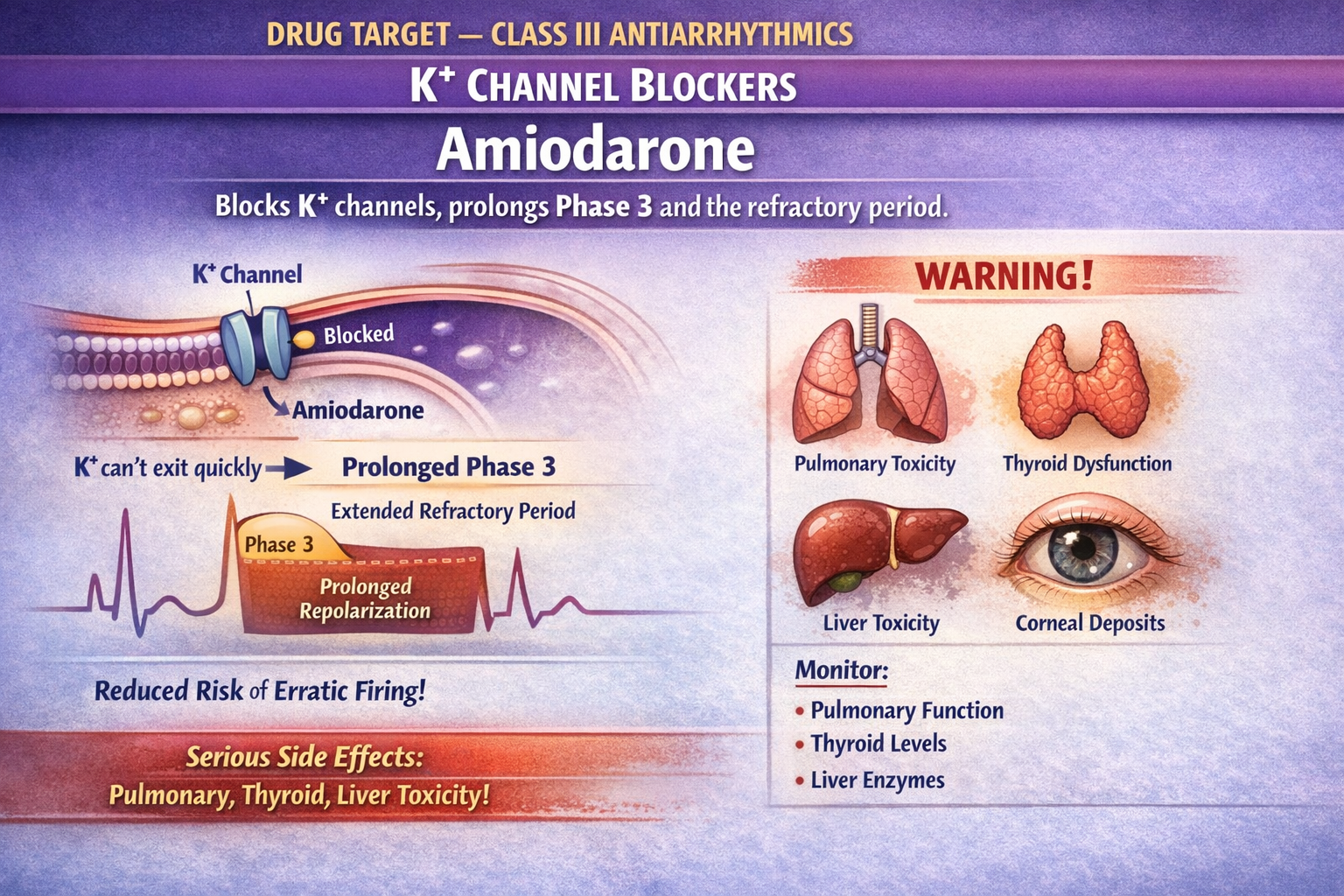 Medication Administration and Dosage Calculations tutorial preview