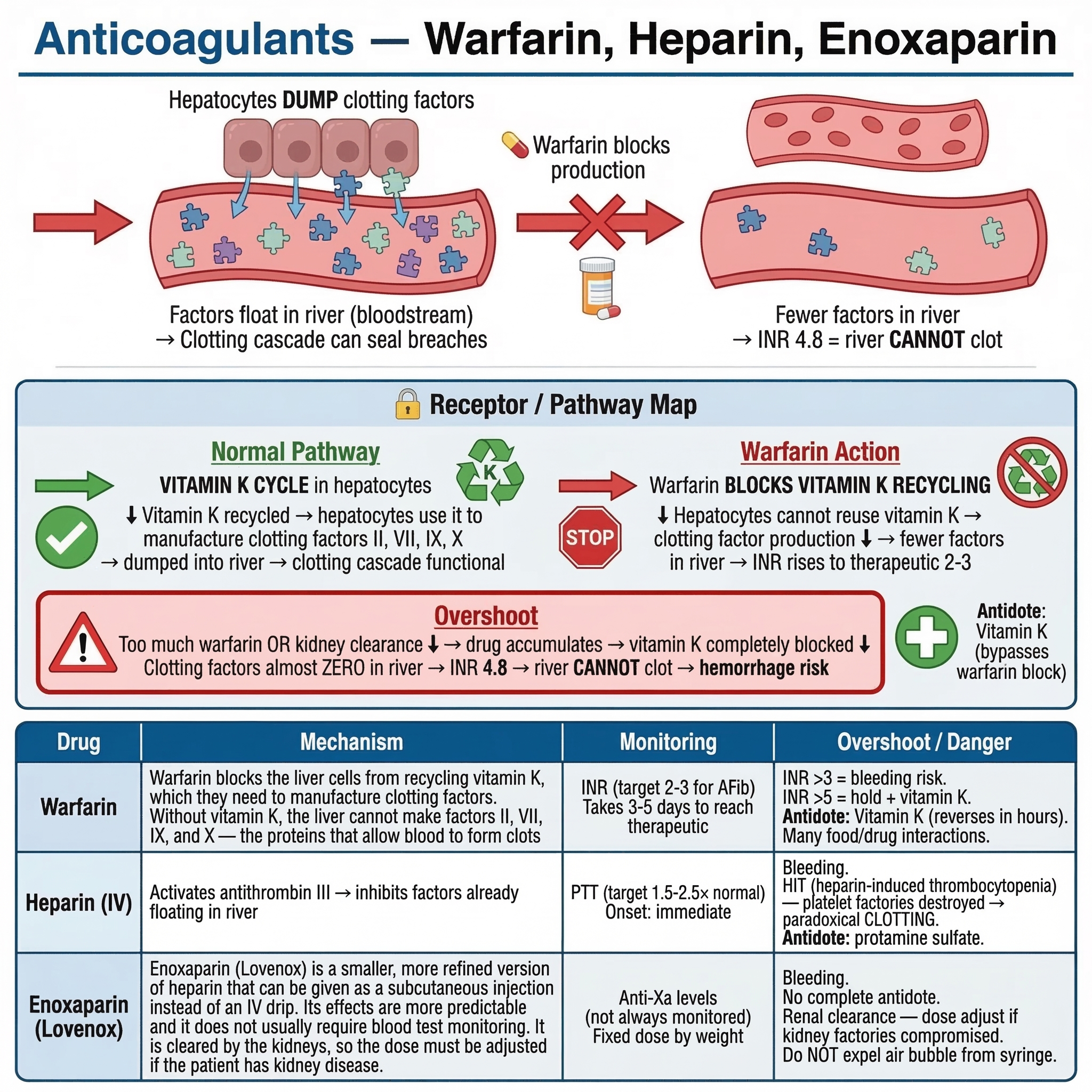 Cell Biology Part 3 Cell Membrane, Transport and Drug-Receptor Gateway preview