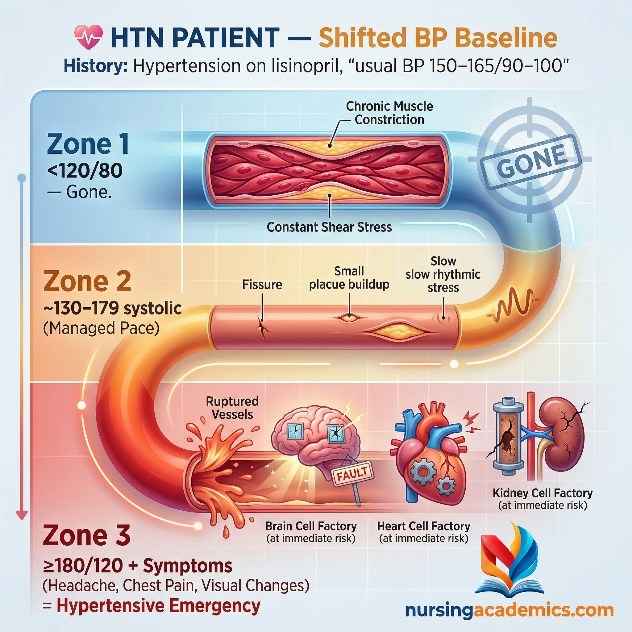 Fundamentals preview
