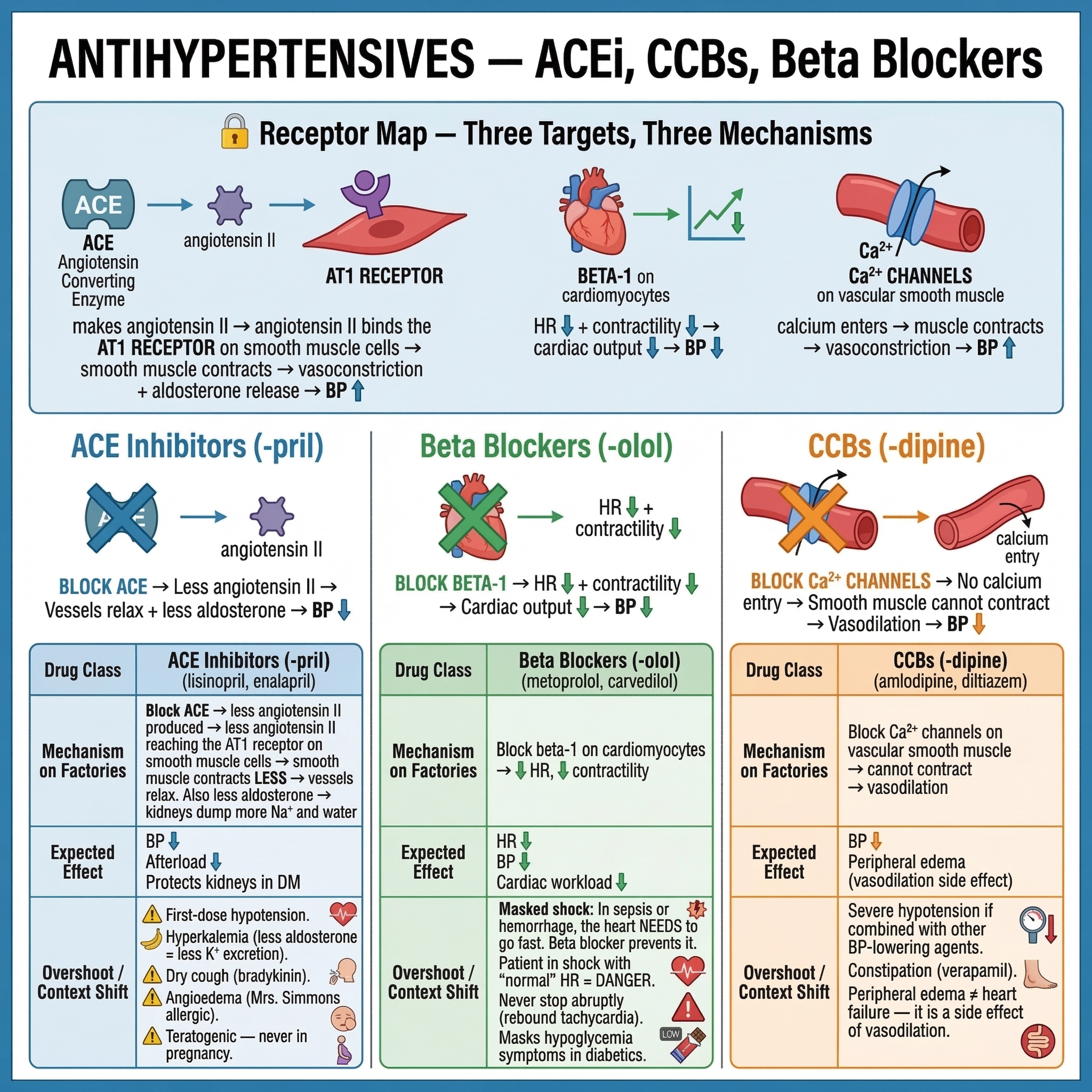 CNS Drugs - Complete Adaptive Learning Tutorial preview