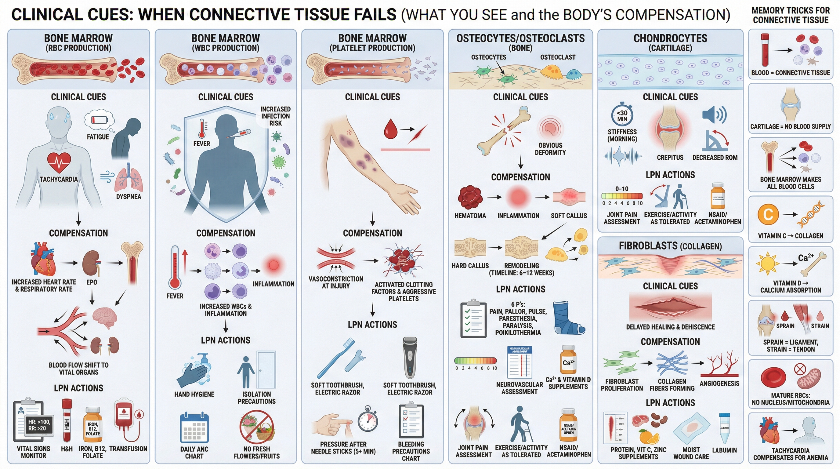 Sepsis visual tutorial preview