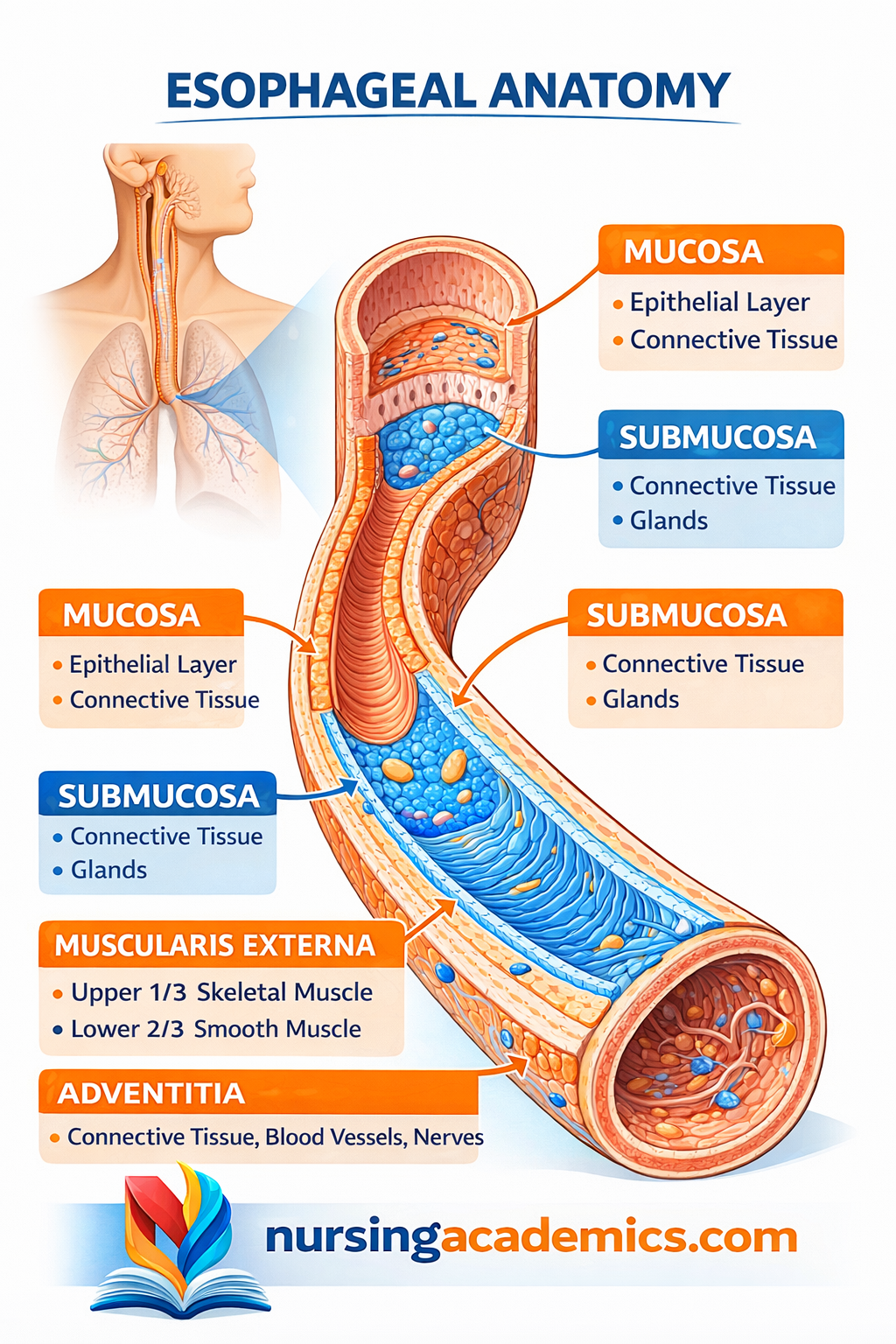 Perfusion First CJ Wizard
