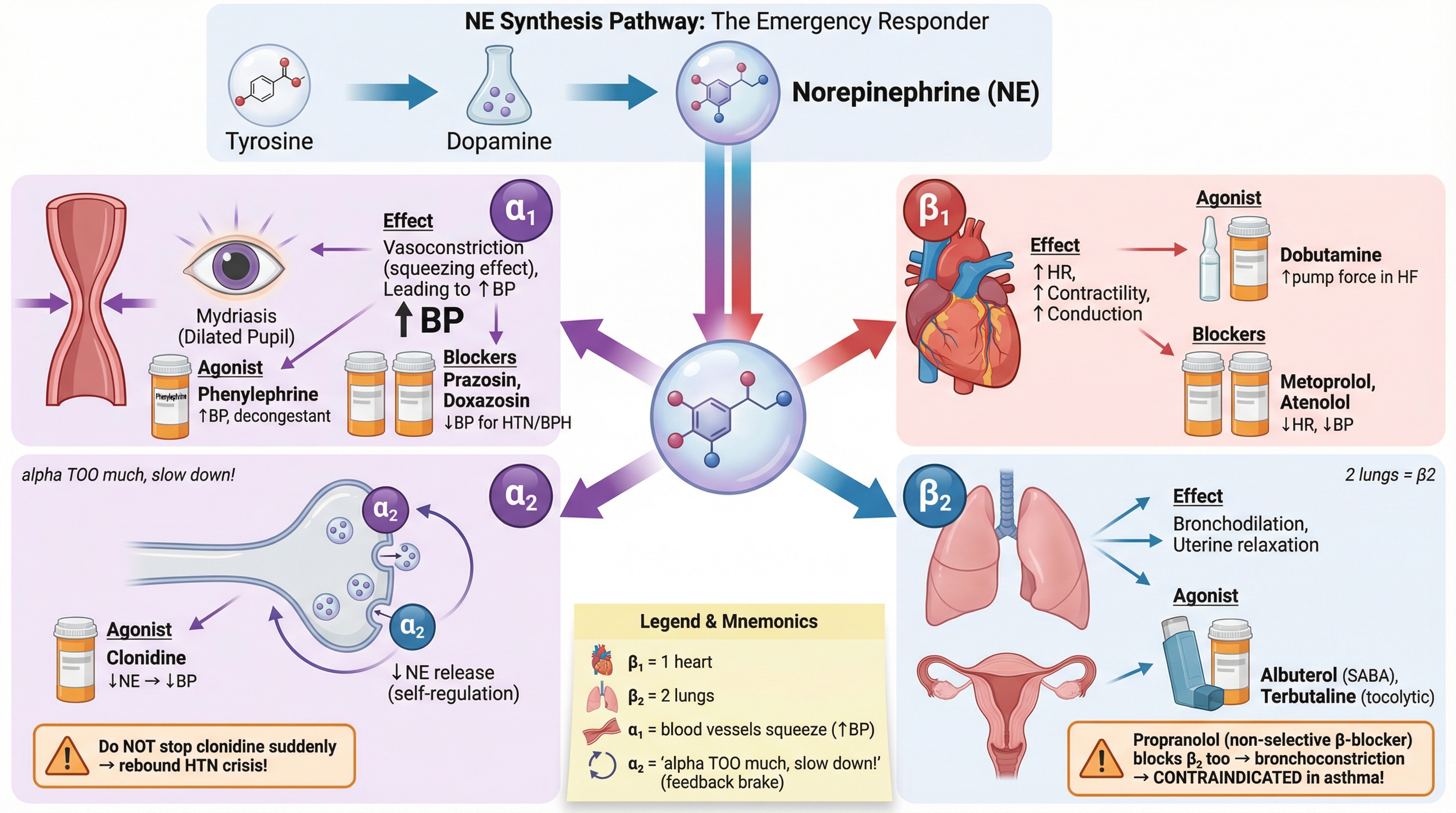 The Alarm Factory Part 1: Anxiety Disorders preview