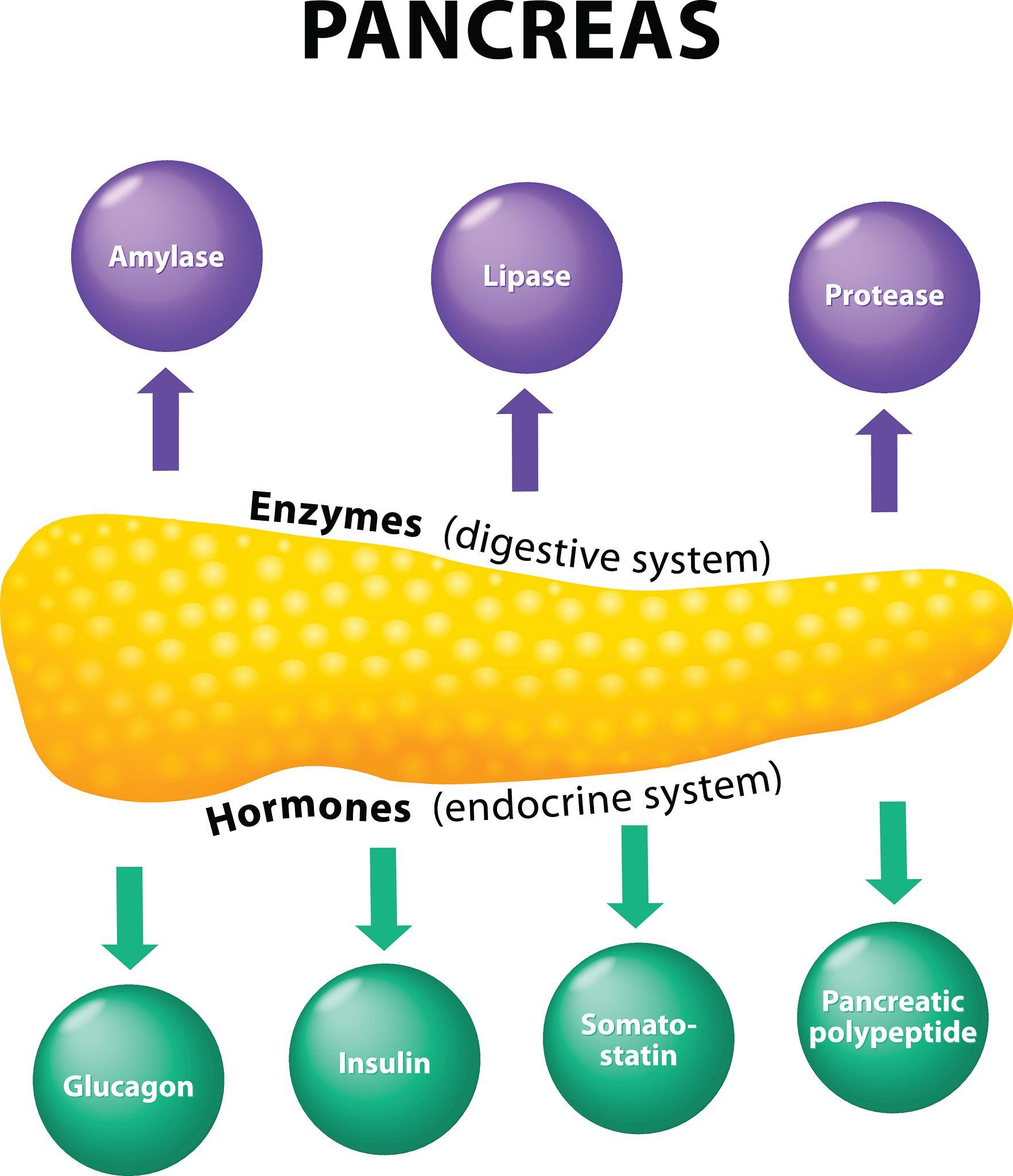 Esophageal emergencies