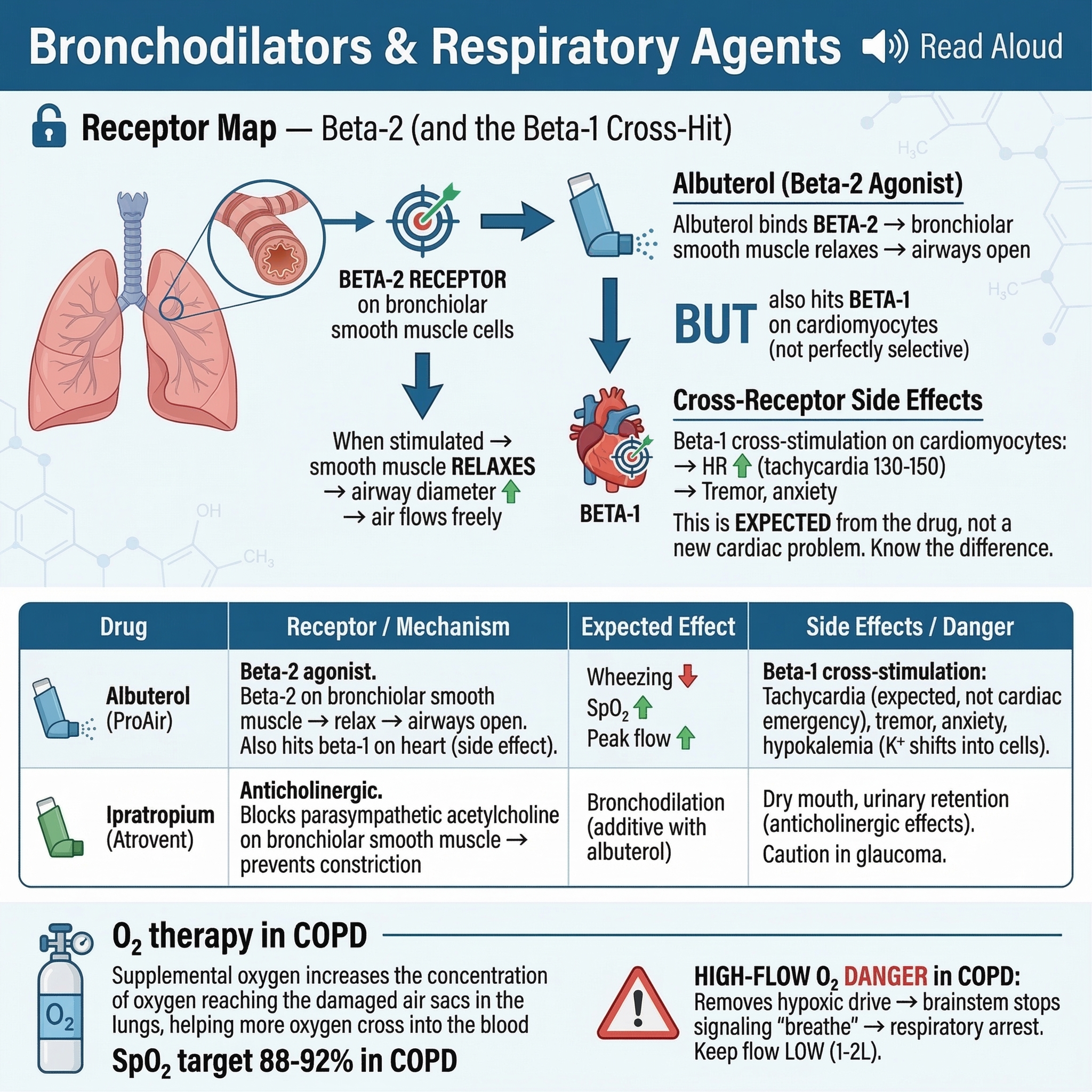 Adaptive Pulmonary Part 1 Obstructive Disorders preview